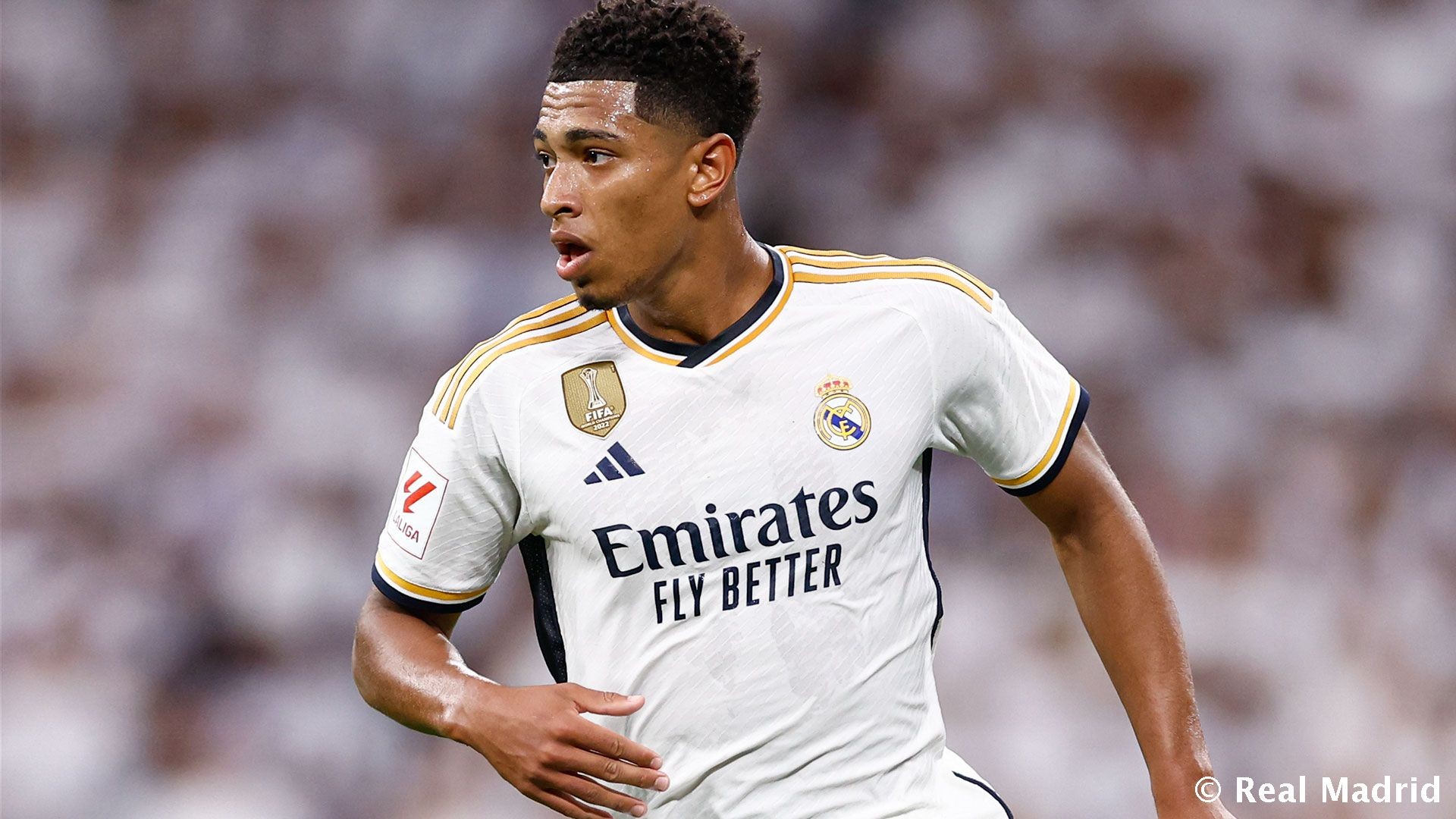 回归！EDG官方：下路选手Leave回归赛场（EDG官宣：下路选手Leave重返赛场）