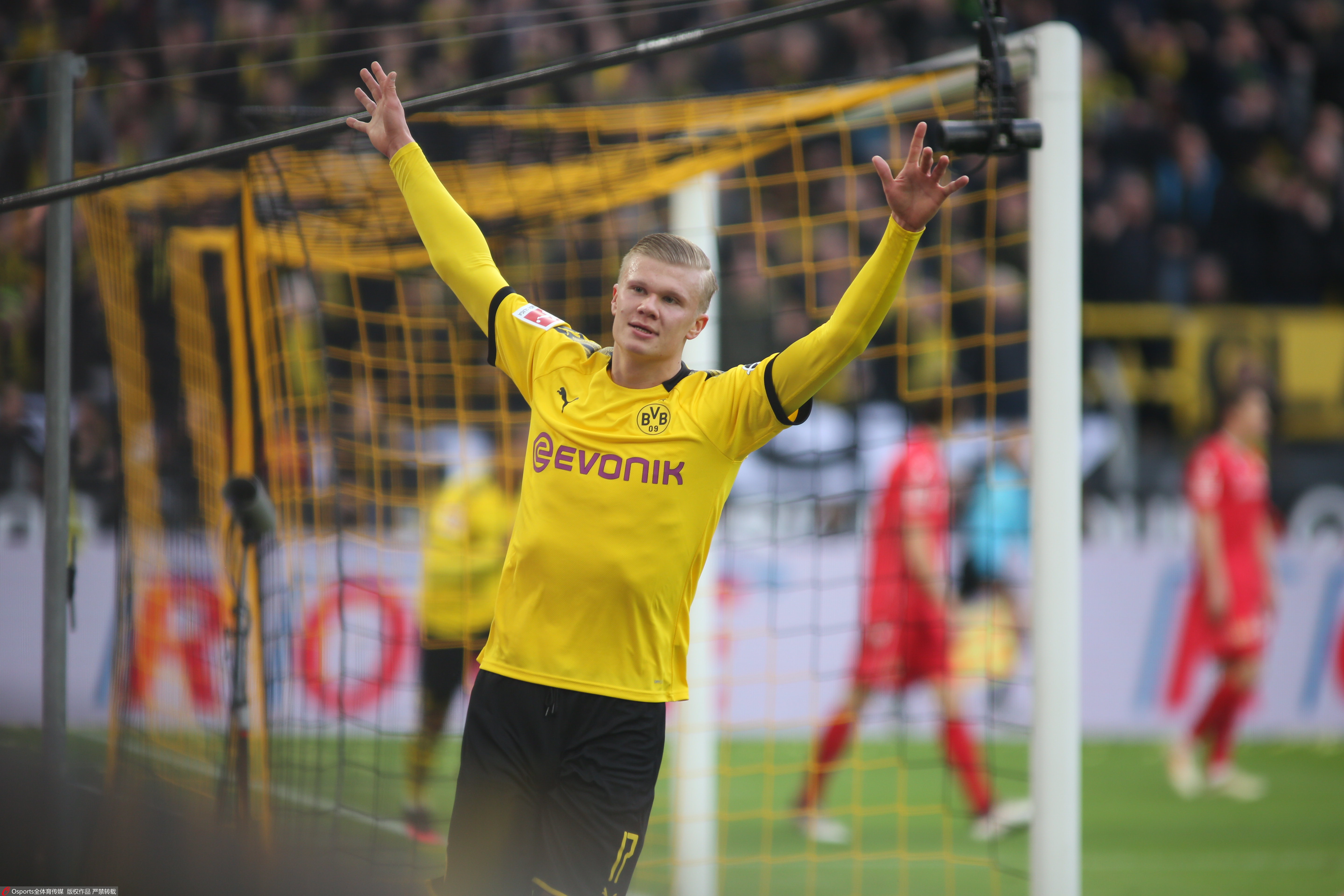 韩K前瞻：大邱王牌出战成疑，安养末轮或做出轮换（韩职联前瞻：大邱核心出战存疑，安养收官战或轮换阵容）